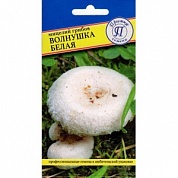 Мицелий грибов Волнушка белая (60мл)