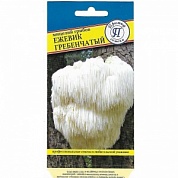 Мицелий грибов Ежевик гребенчатый (12 палочек)